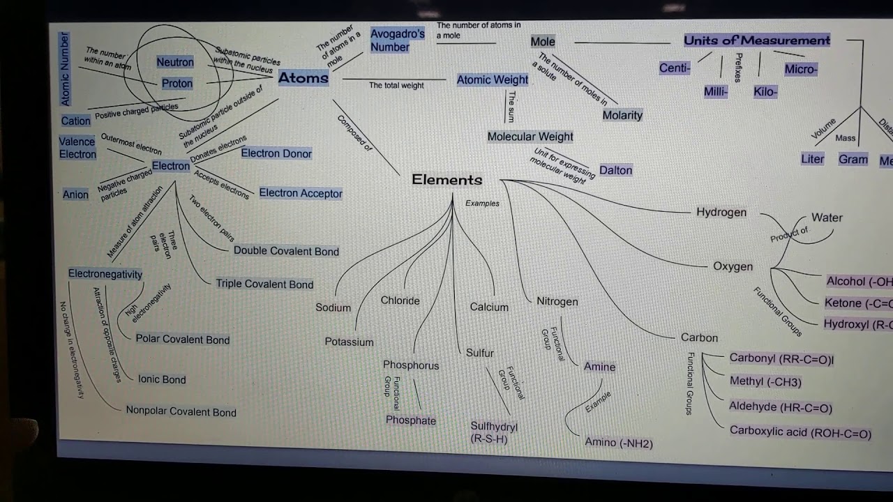 Concept Map (Cell Biology) - YouTube Concept Map (Cell Biology) - YouTube