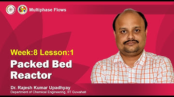 Lecture 20: Packed Bed Reactor