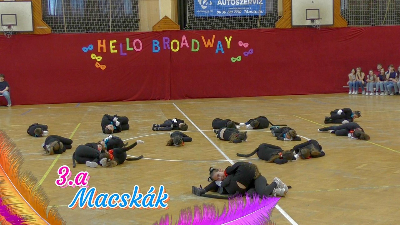 3.a osztály Macskák