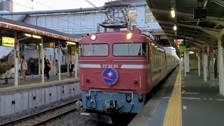 EF81形81号機牽引E26系12Bカシオペア紀行青森行き蓮田駅通過