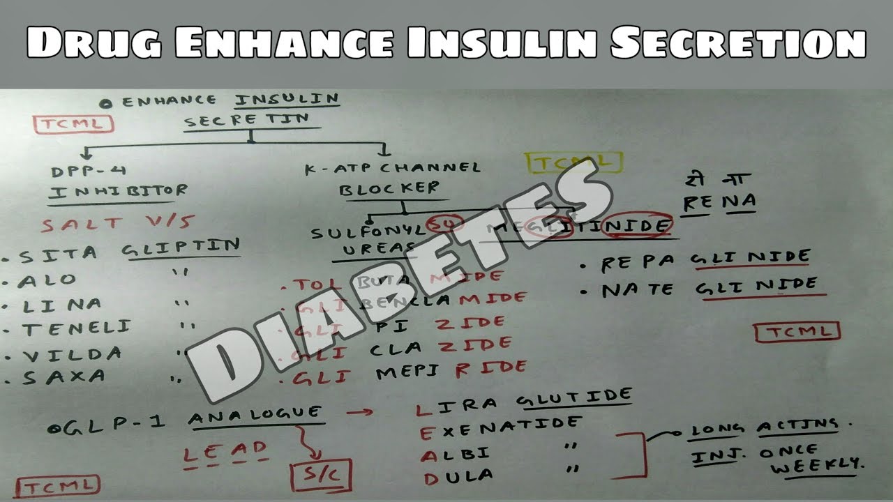 Diabetes | Insulin Secretion from Beta Cells and Drug Increase Insulin ...