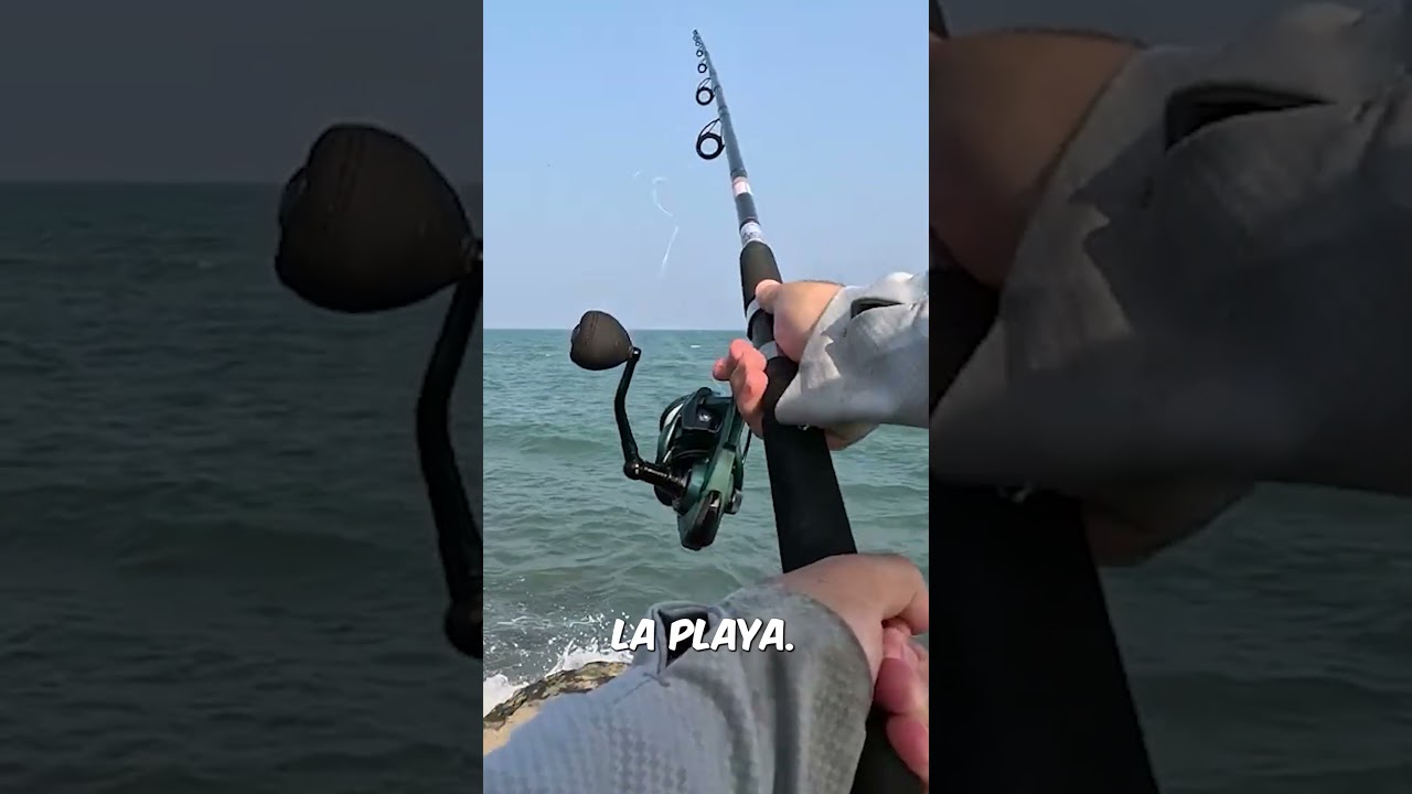 ¡Atrapa pez globo y haz chicharrón en la playa!