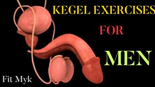 KEGEL EXERCISE FOR MEN. IMPROVE THE QUALITY OF YOUR ERECTION.