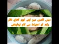 Deen Me Ihtyat Kary دینی امور میں احتیاط سے کام لو Deen Me Ihtyat Kary دینی امور میں احتیاط سے کام لو