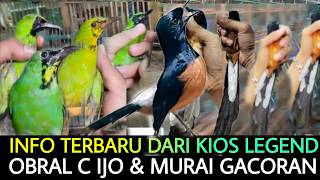 ✅ LAGI BANJIR BURUNG CUCAK IJO, MURAI BATU, KAPAS TEMBAK SIAP DI OBRAL MURAH DI PASAR BURUNG PRAMUKA