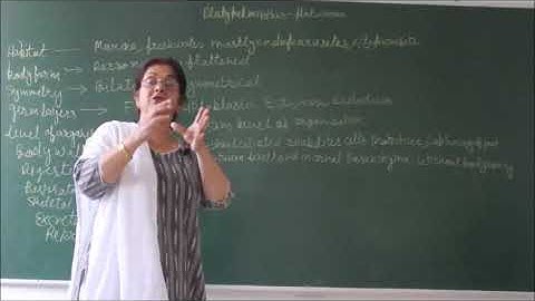 Bio-XI-4-05 General characters of phylum Platyhelminthes,  Pradeep Kshetrapal channel