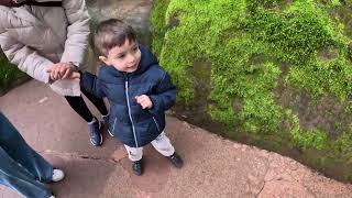 Enchanted Forest - Turner Oregon - 3/22/2025