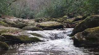 Anxiety and overthinking nature water sounds healing