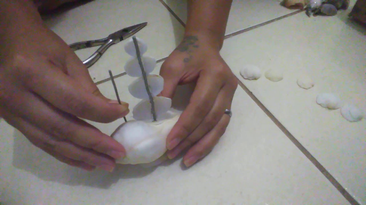 VOCÊ ACREDITA BARCO USANDO CONCHINHA DO MAR/ VEJA O VÍDEO 😘