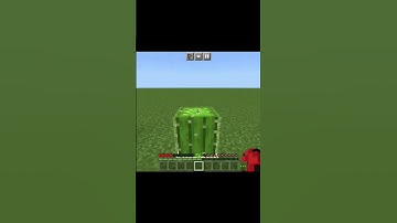 Minecraft : weird logic (part 20) #shorts