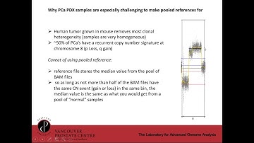 Challenges and Solutions to Copy Number Estimation from Whole Exome Sequencing in Tumors