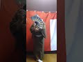 かみのやま慕情 青山ひかる コラボ世界の人々を笑顔にする会会長佐藤稔です。宜しくお願い致します。