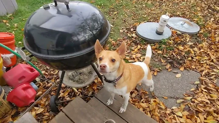 Friends in the Fall