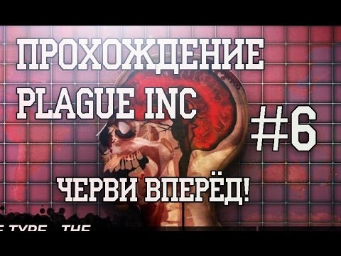 как уничтожить паразитов в теле человека как уничтожить паразитов в теле человека