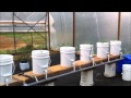 diy hydroponic bucket system
