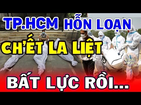 Tin tức nhanh