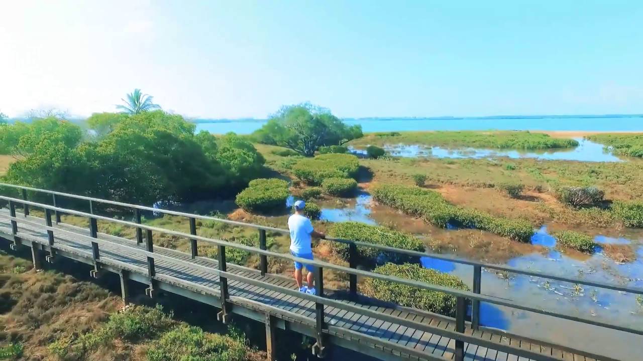 Taylors beach QLD YouTube