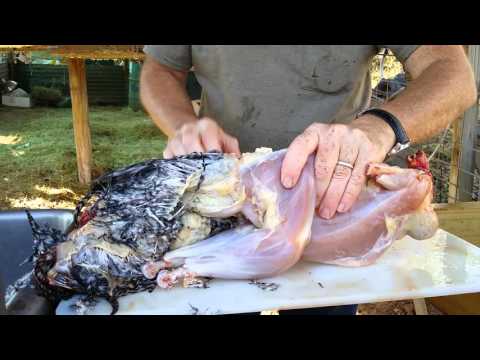 Video: How To Skin A Chicken