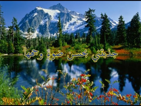 نفحات صوفية جذبتني بحسن ضوء وجهها