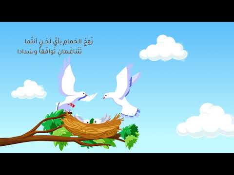 محمد الغزالي زوج الحمام كلمات صالح الديلمي أسير البيان