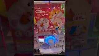 Gashapon Machine around the world. Which Gacha toy is your favorite? GachaMac531 #gachareward