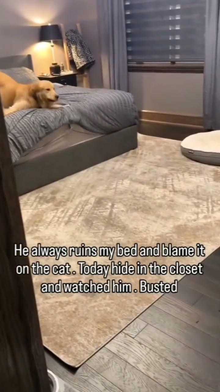 Bro got busted in 4k playing some prvnci