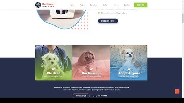 Pet Hund - Animals Shop and Veterinary WordPress Theme pet shelter cats Website Builder