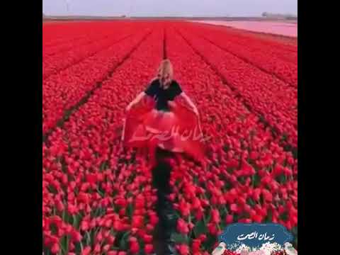 فيروز لو فينا نهرب ونطير