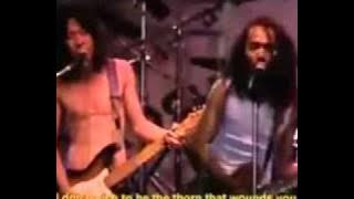 Slank-Virus.mp4