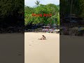 Beach 🏖️ life #shortvideo #beach #fypシ゚viral
