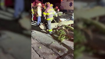 Witness video shows damage after tree fell on car