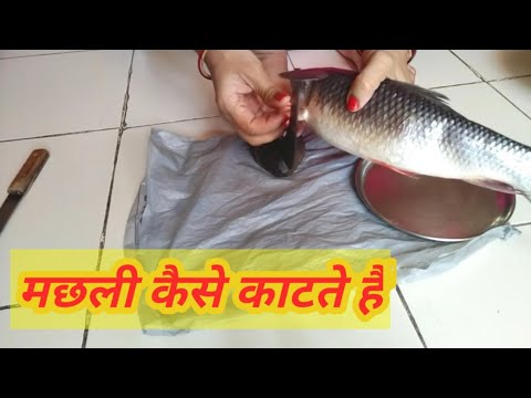 मछली कैसे काटते हैं - घर पर मछली कैसे काटते हैं -How to clean and cut a fish - fish cutting