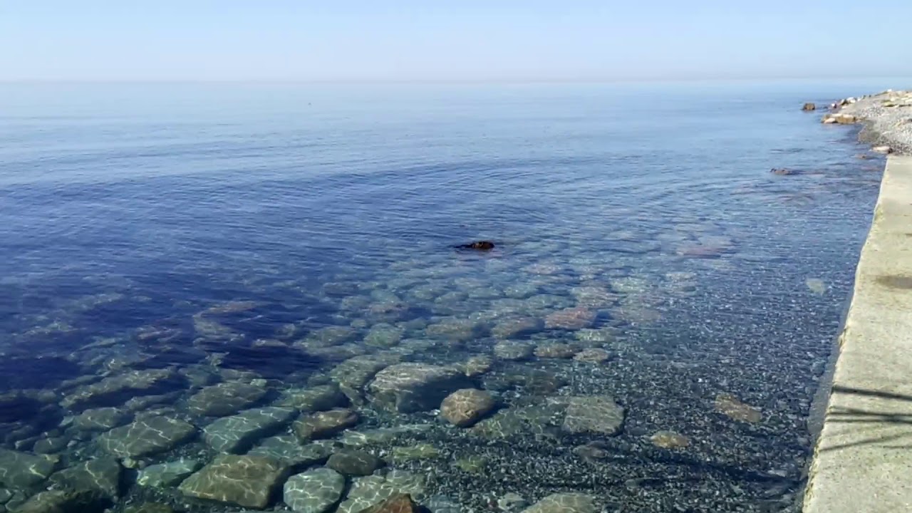 Море видало. Черное море прозрачная вода. Черное море прозрачность воды. Дно черного моря. Вода в черном море Сочи.