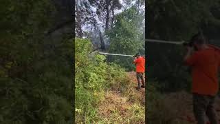 Kemeryangin Şfet Şferbeniöneçıkar Dumanmehmet