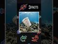 3 Deep Sea Terrors That Shouldn't Exist 🌊👹