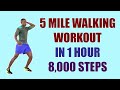 5 Mile Walking Workout in 1 Hour (8 Kilometers)/ 8,000 Steps Walk at Home