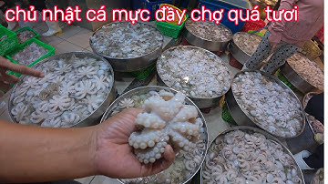 chợ bình điền chủ nhật quá nhiều hải sản? mực tôm cá tấp nập.giá cũng rẻ