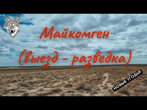 Охота на волка "Разведка"  Казахстан Атырау  "Майкомген"