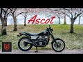 The worst motorcycle of the 1980s  honda ascot review