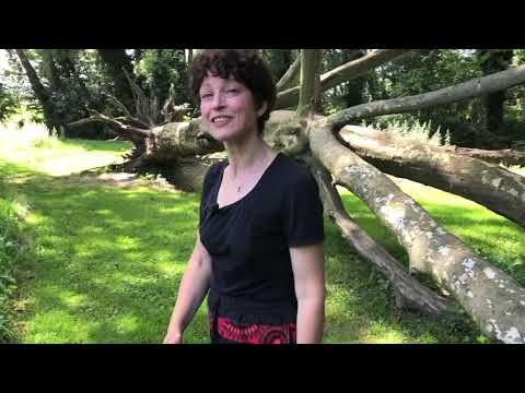'Toni singt' online