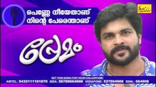 പെണ്ണേ നീയേതാണ് | Premam |  Super Hit Romantic Album | Latest Malayalam Album | Shafi Kollam