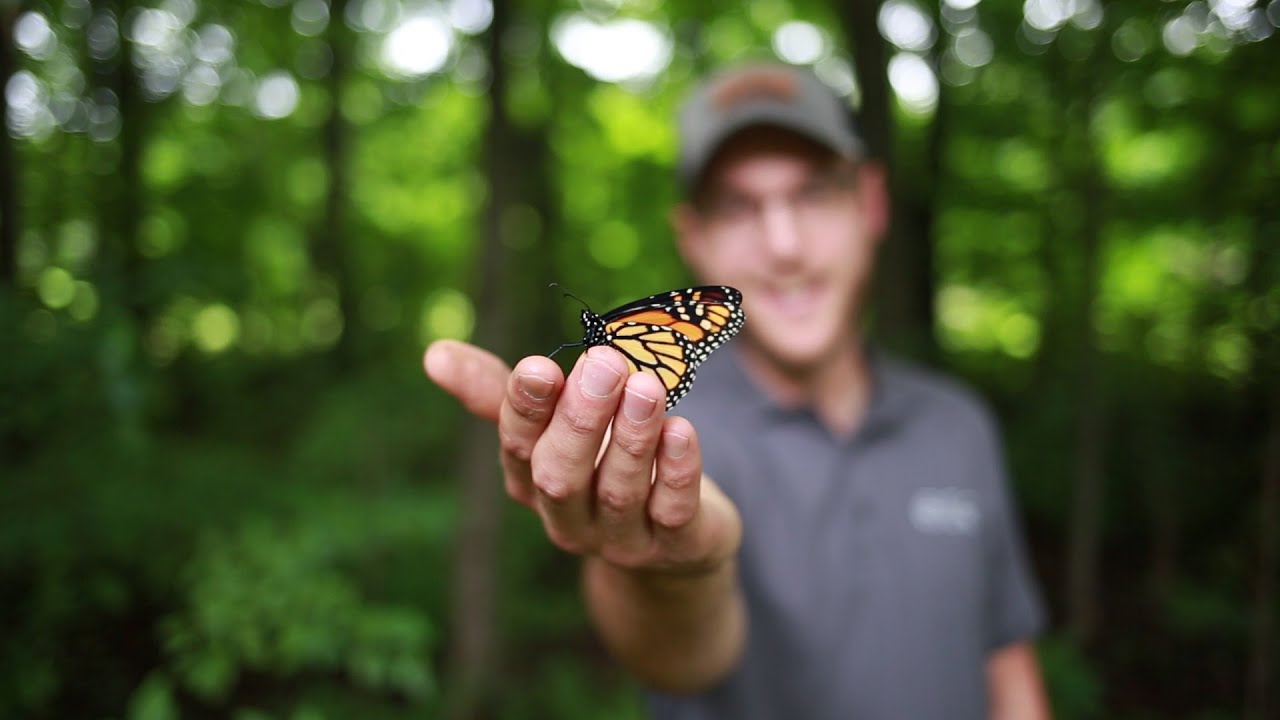 Monarch Butterfly Education & the Pollinator Garden Classroom at the Robert L. Bowles Nature Centre