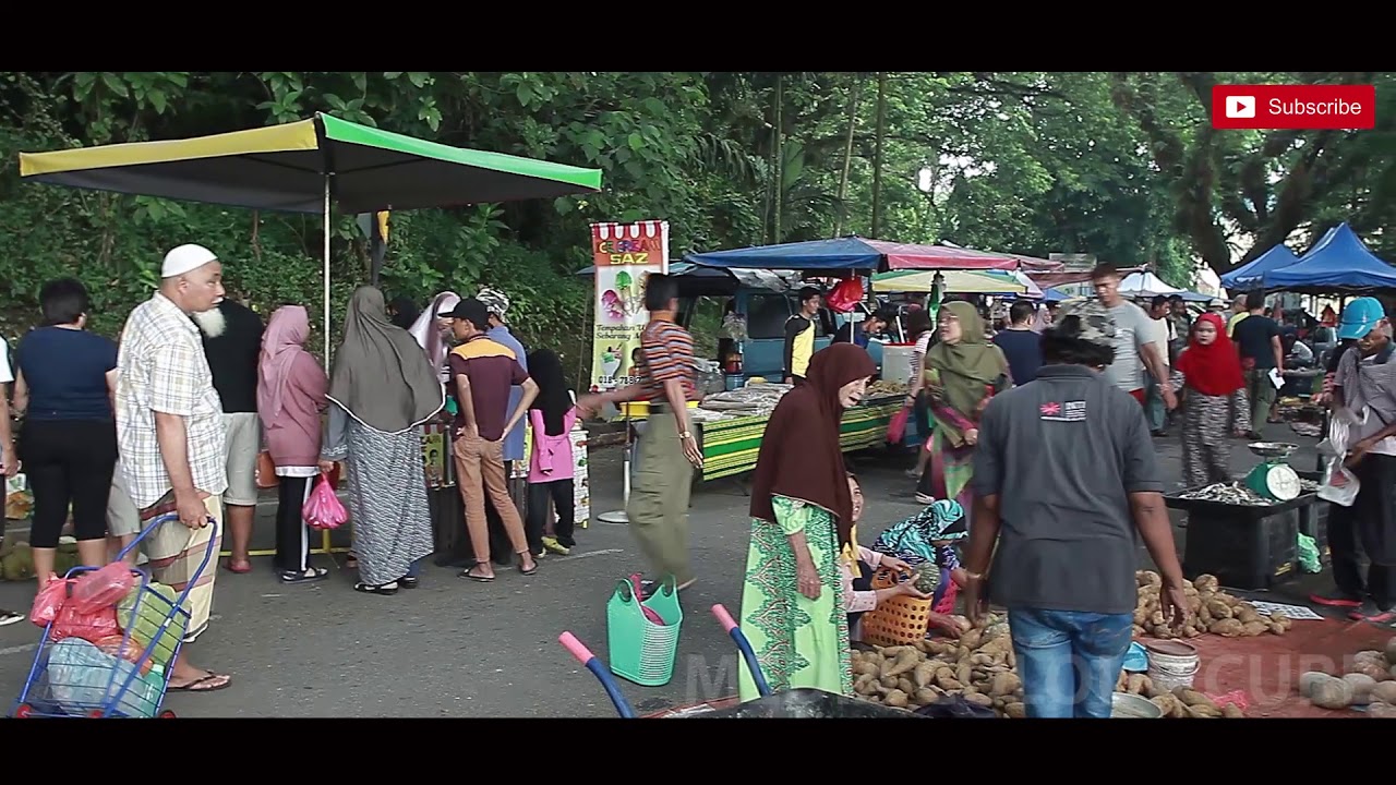 PAHANG SONG [ Menghilir di Sg Pahang ]