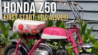 Hear It Roar! The Pink Honda Z50A Comes to Life