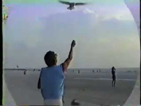 Edward Dennis Fogell & his Babycakes On The Florida Beaches