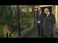 Prince William and Charles visit tigers at London Zoo