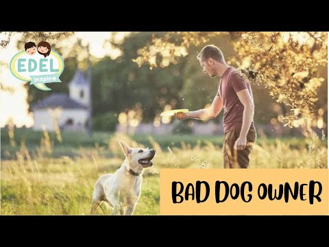 Video: Anjing mempengaruhi kesihatan pemiliknya