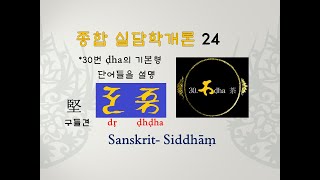 종합 실담학 개론 綜合 悉曇學 槪論 sanskrit siddhāṃ 24