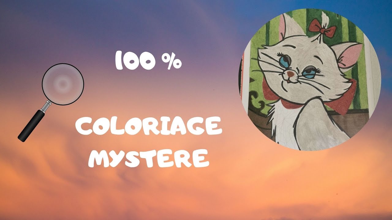 Livre de Coloriage 100% Mystère n°11