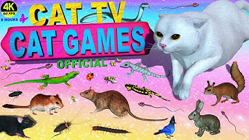 CAT GAMES OFFICIAL | ULTIMATE CAT TV COMPILATION | VIDEOS FOR FELINE FRIENDS TO WATCH 4K 8 HOURS